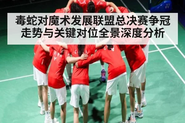 毒蛇对魔术发展联盟总决赛争冠走势与关键对位全景深度分析